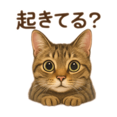 maimai_20250430183947
