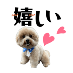chacha_20250430165302