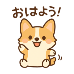Lily_20250429191719