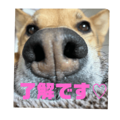 Kyoko_20250430165758
