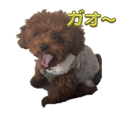 KAORI_20250430190905