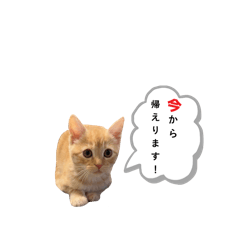 K_20250430192052