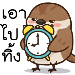 Eurasian Tree Sparrow In Lazy moment