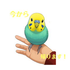 K!S!K!!