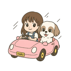 Haru是隻西施犬 (初登場）