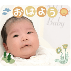 miki-ho