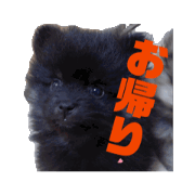 buri_20250430181451