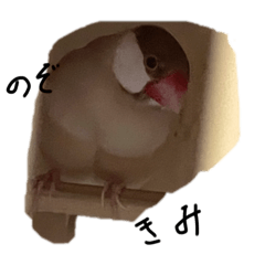 NON_20250430172453