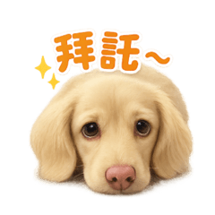平凡臘腸狗狗的生活－多多奶油臘腸日常