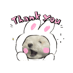 dog_20250501015621