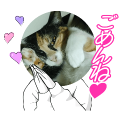 riku_20250430210713
