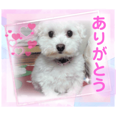 march stamp 2