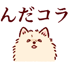 World's Strongest Pomeranian!!!!