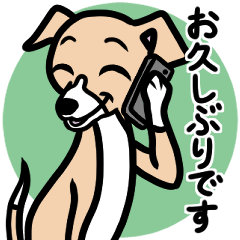(Fawn2)puppy Italian greyhound sticker