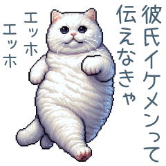 エッホで伝える彼女ねこ【面白い】