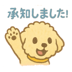 トイプードルvol:1