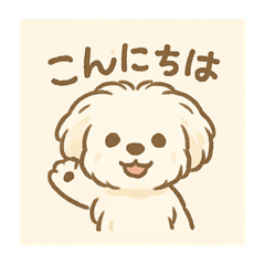 Andy_20250429211549