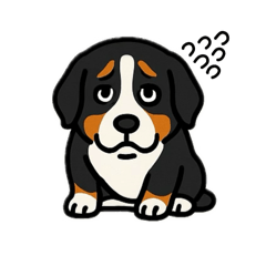 bernese mountain dog-bmd