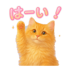 maimai_20250430203830