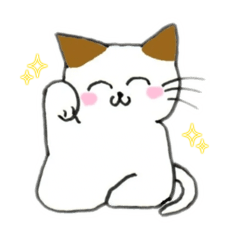Everyday life with a heartwarming cat 2