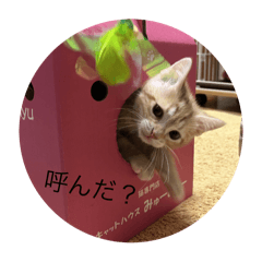 Hi_20250430221936