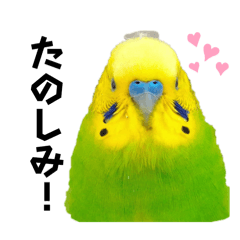 saya_20250430211256