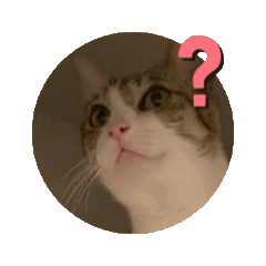 Cat_20250430223343