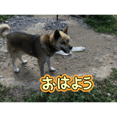 non_20250430222740