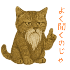 Shibuneko, Bearded Cat 1