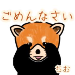 Chio's lesser panda