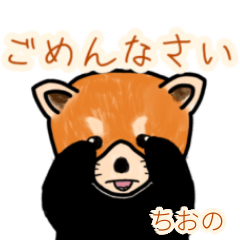 「ちおの」レッサーパンダ日常会話