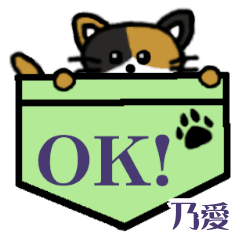 乃愛「のあ」ポケット三毛猫