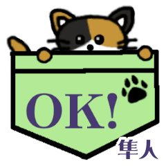 隼人「はやと等」ポケット三毛猫