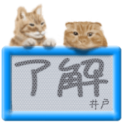 「井戸」リアルふわ猫でか文字日常
