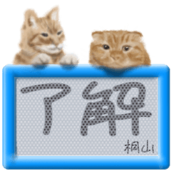 「桐山」リアルふわ猫でか文字日常