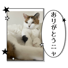 MIKE_20250430160143