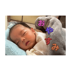 ringo_20250430155935