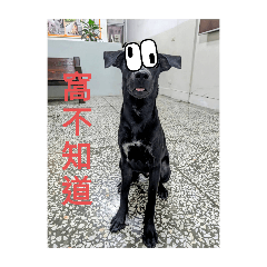 索爾與浩克專屬表情包