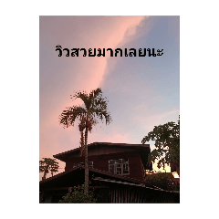 prim2558_20250430183916