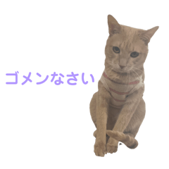 yuna_20250430214148