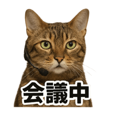 リアルすぎ！ベンガル猫のお仕事スタンプ