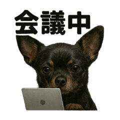 リアルすぎ！黒チワワのお仕事スタンプ