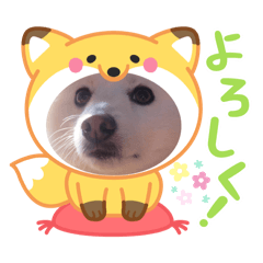 Popo_20250430215135