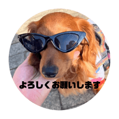 僕の名前はリトル君です