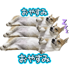 ruka_20250430223342