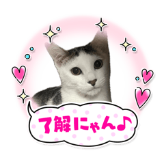 minami_20250430224352