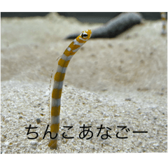 h_20250430224409