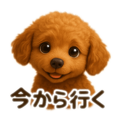 ryo_20250430224726