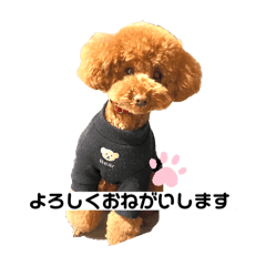 mo_20250430162653