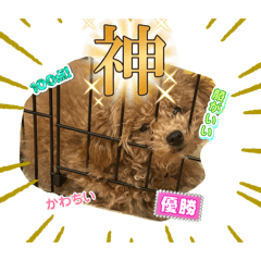 sou_20250430162119